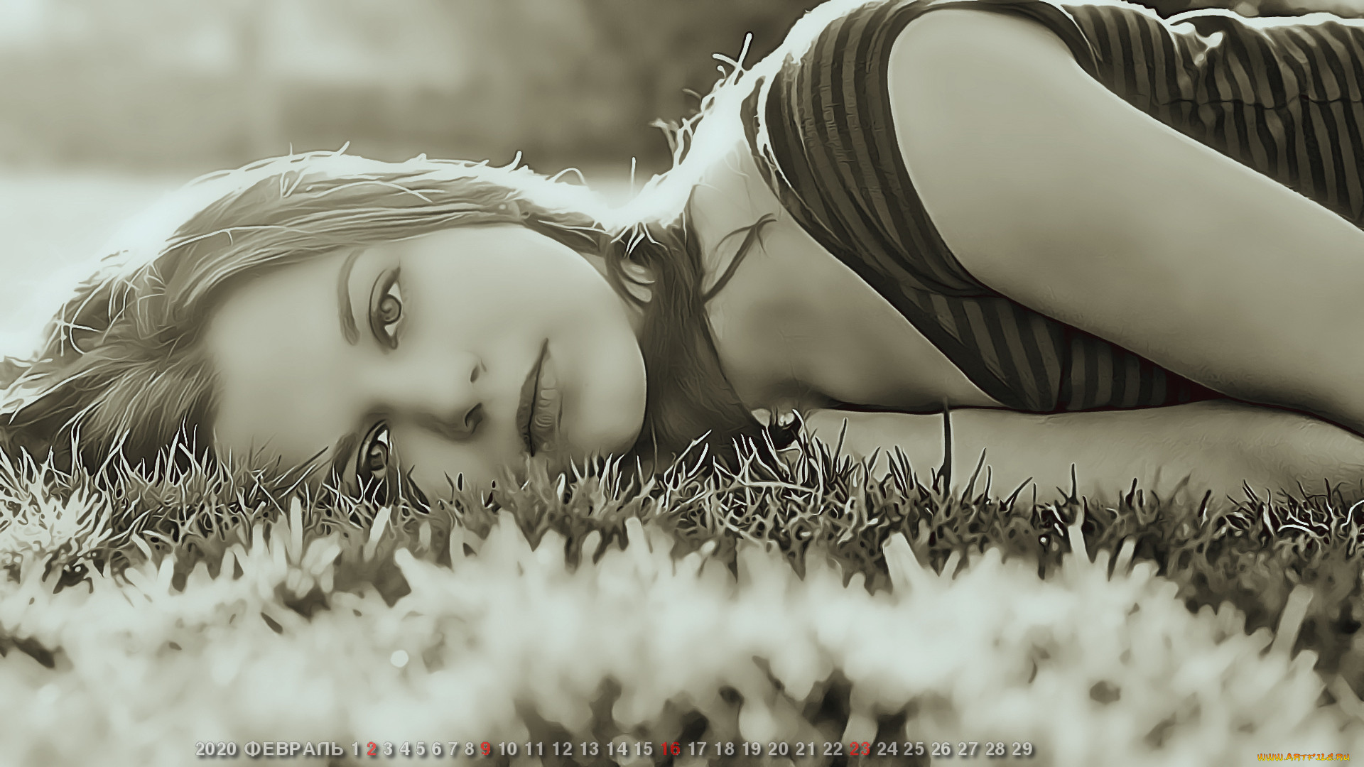 ,  , , , , calendar, 2020, , 